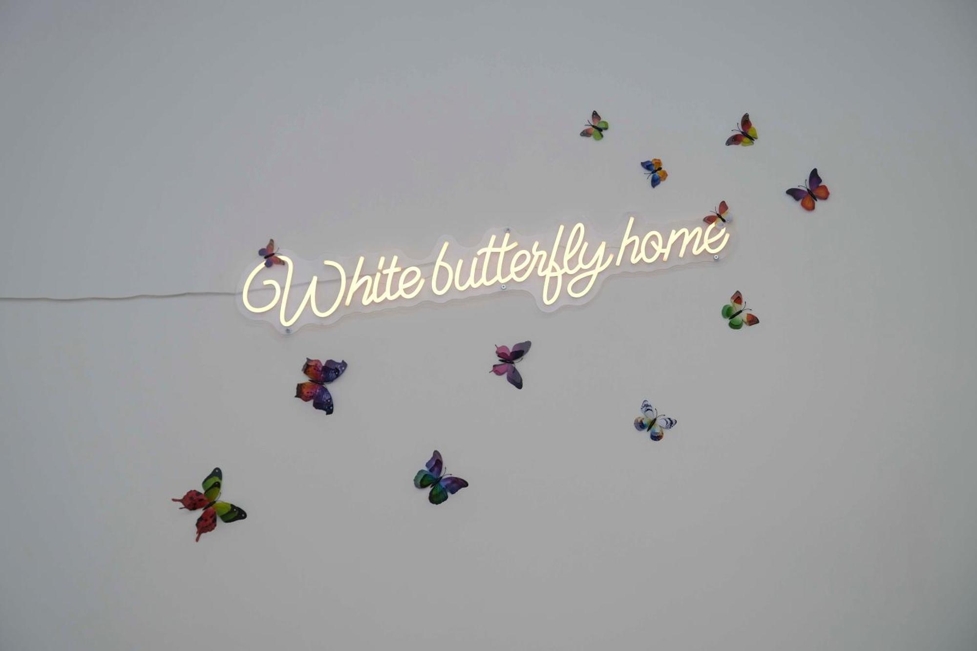 White Butterfly Apartment